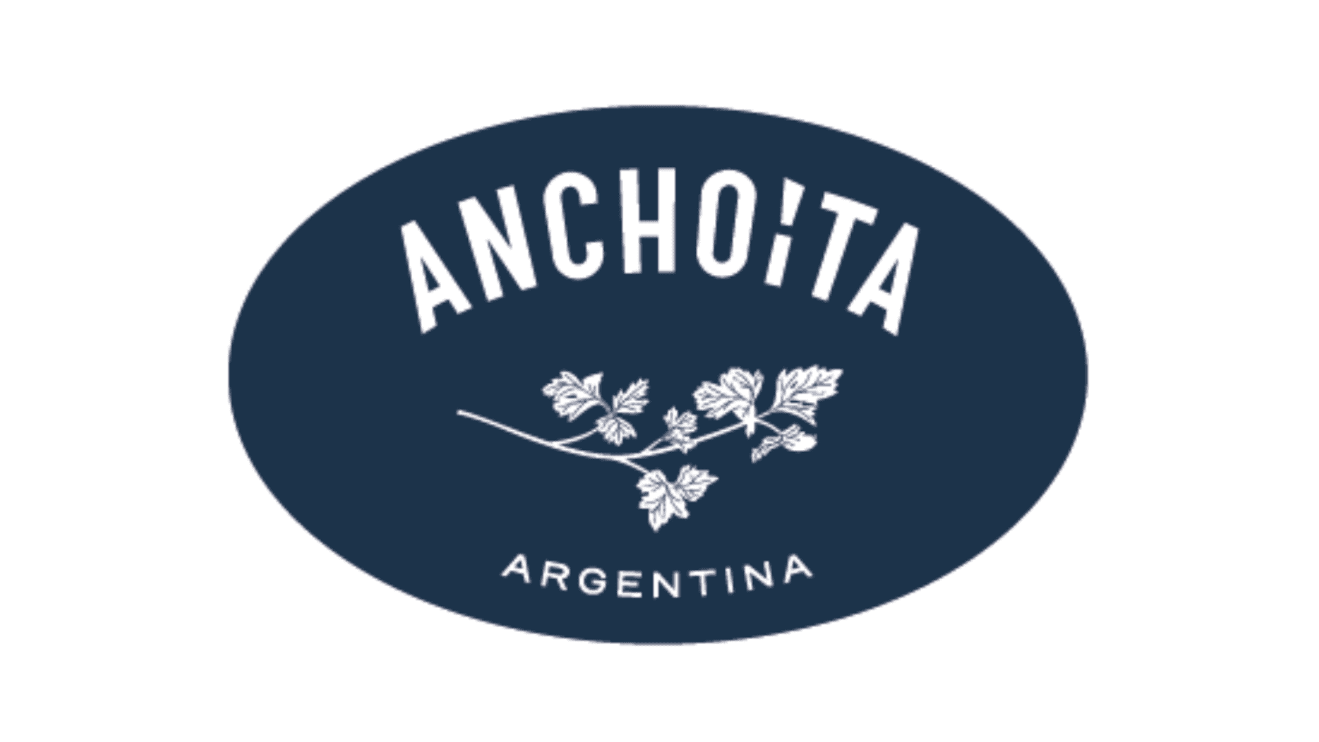 logo anchoita